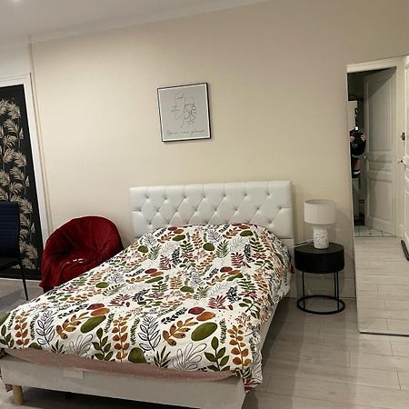 Studio Meuble Et Lumineux 20M2 Lejlighed Vittel Eksteriør billede