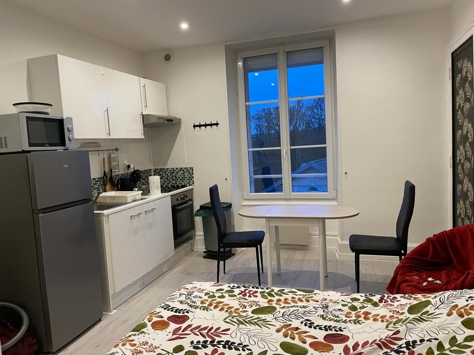 Studio Meuble Et Lumineux 20M2 Lejlighed Vittel Eksteriør billede